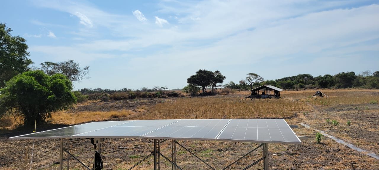 1.5kW solar pump system serving paddy land at Palikulam, Mannar
